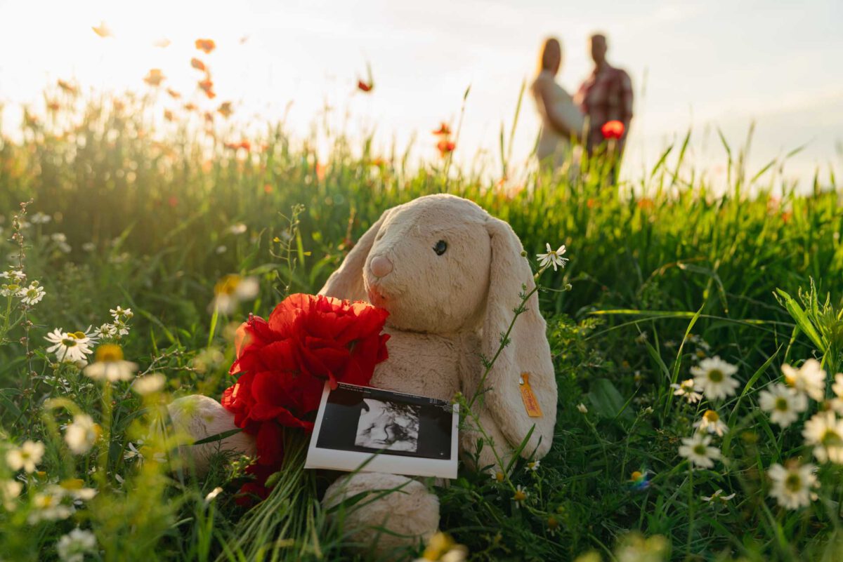 Babybauch Fotografie Wolfsburg